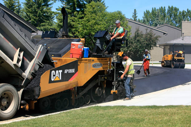 Best Decorative Driveway Paving in Hemphill, TX